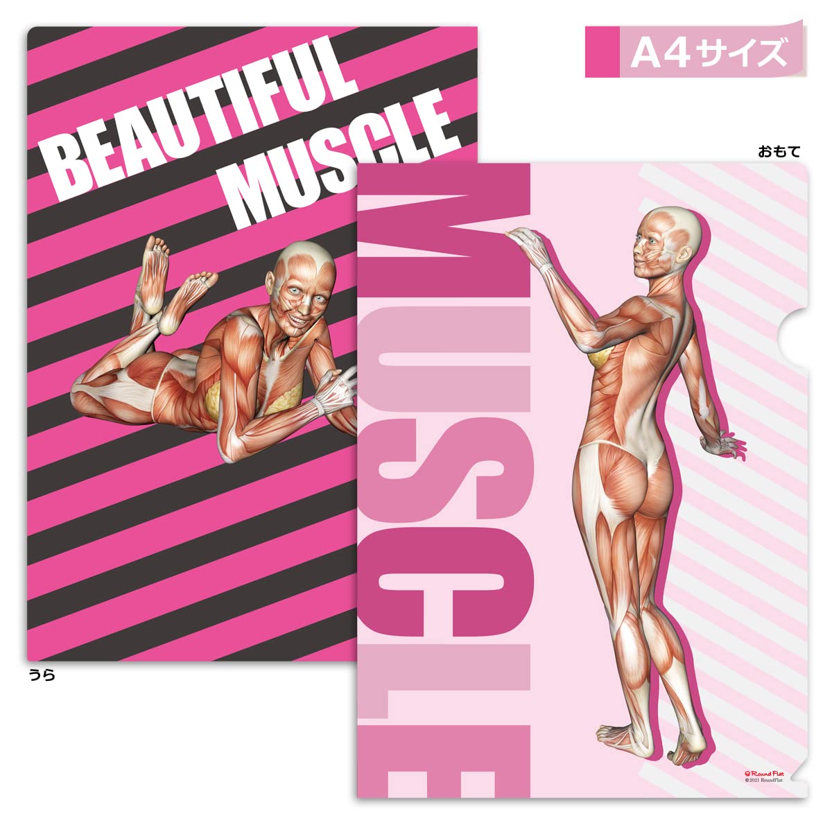 Amazon | 筋肉家 筋次郎コレクション1 クリアファイル3枚セット A4